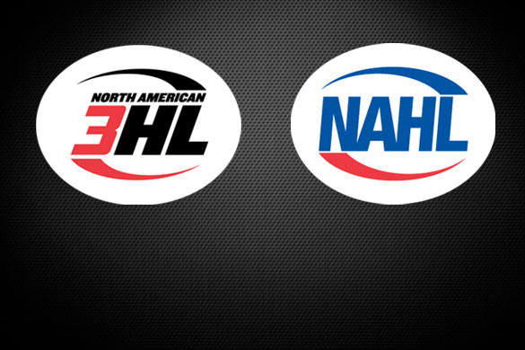 NAHL on X: The results are in! Here are the first 3⃣ picks in the 2023 #NAHL  Draft!  / X