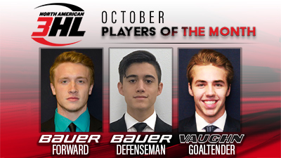 NAHL announces monthly player awards for November, North American Hockey  League