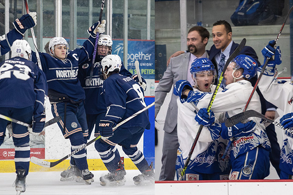  North American Tier III Hockey League